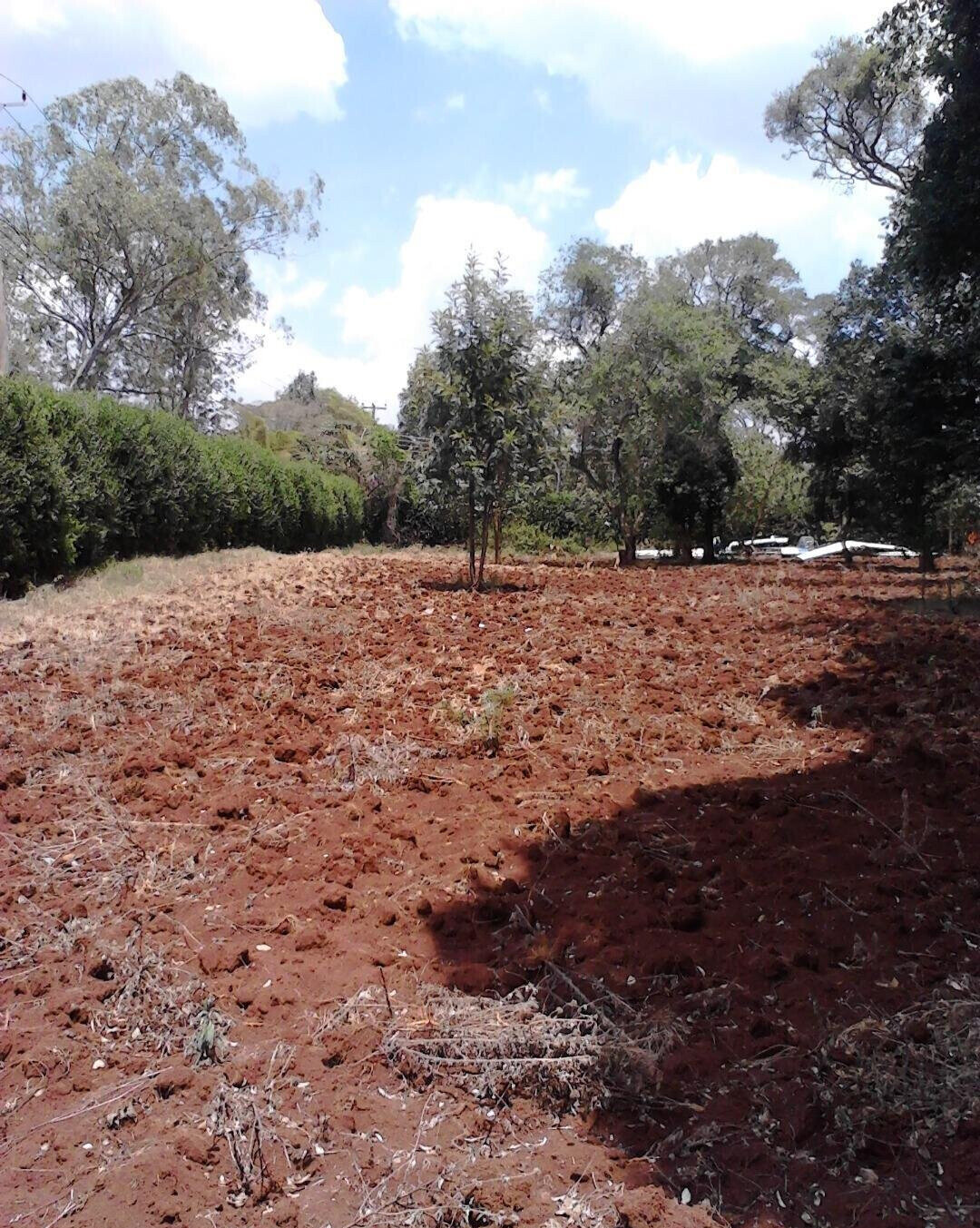 1.5 Acre Westlands Plot with Garden