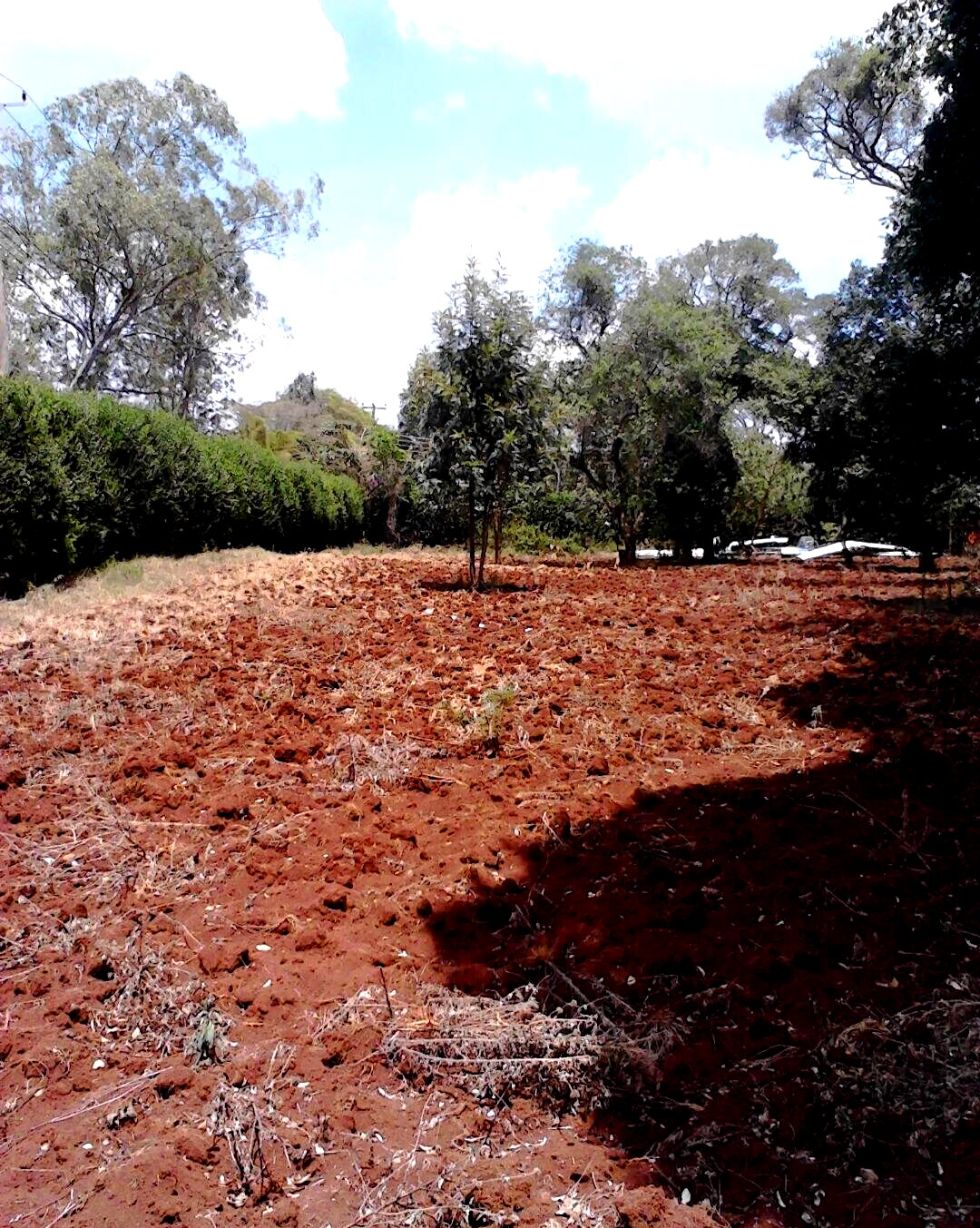 1.5 Acre Westlands Plot with Garden