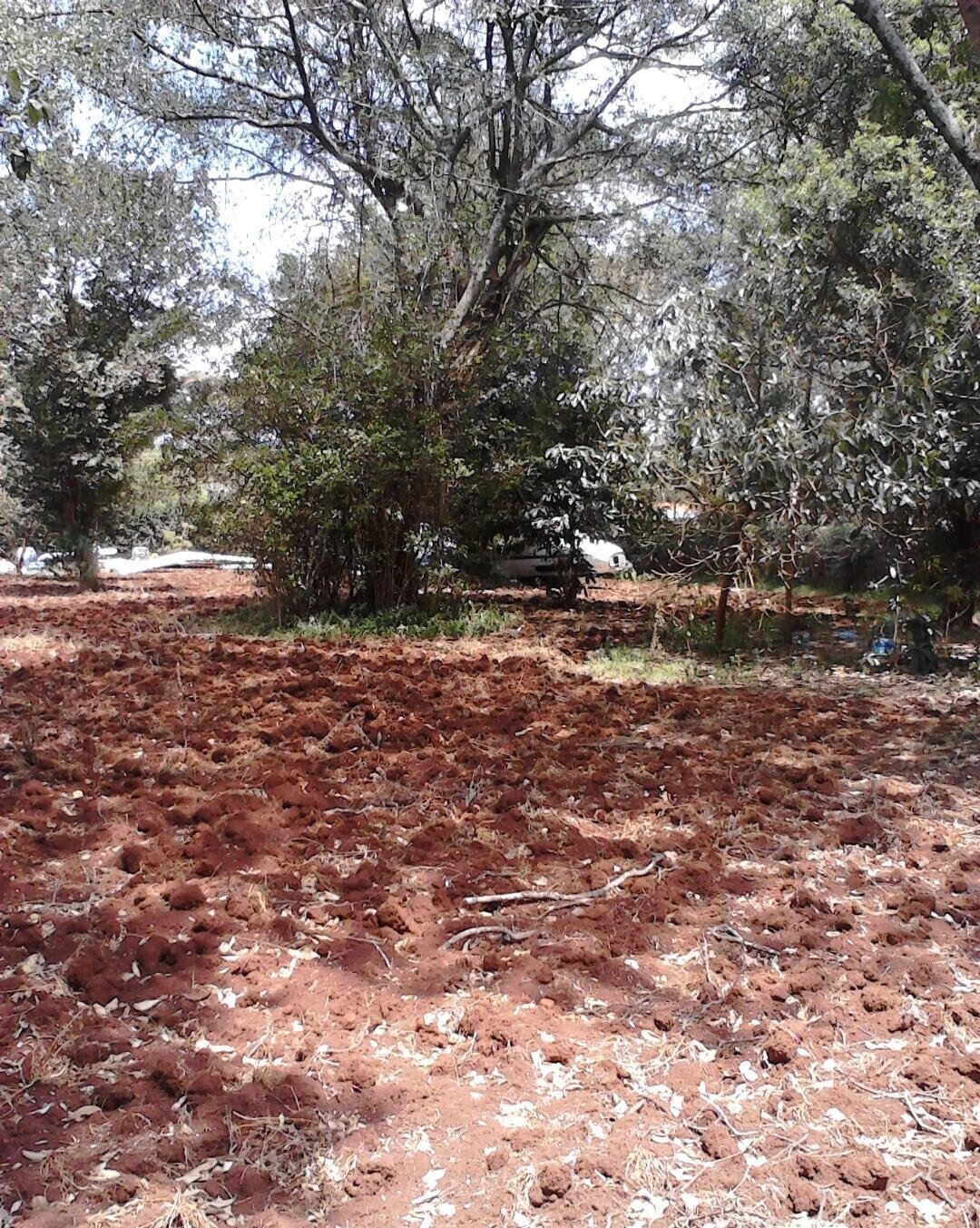 1.5 Acre Westlands Plot with Garden