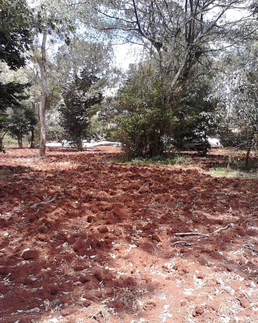 1.5 Acre Westlands Plot with Garden