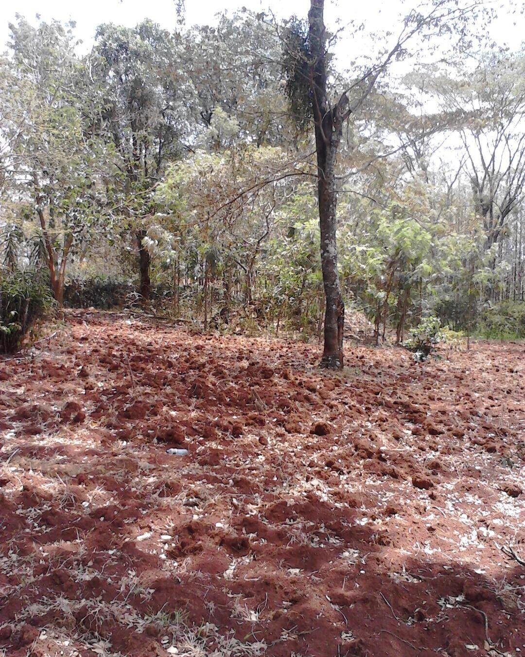 1.5 Acre Westlands Plot with Garden