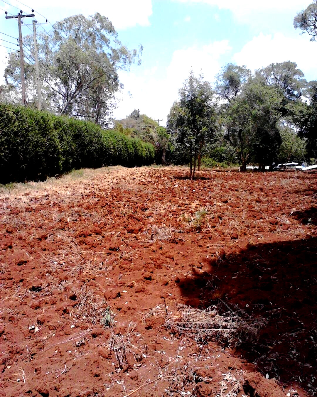 1.5 Acre Westlands Plot with Garden
