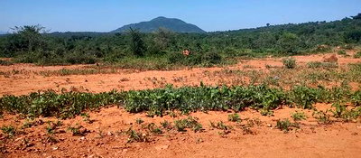 Embu County, Mutuobare 1.5 Acres Near Tarmac at Kes - Image 12