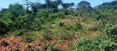 Embu County, Mutuobare 1.5 Acres Near Tarmac at Kes - Image 8