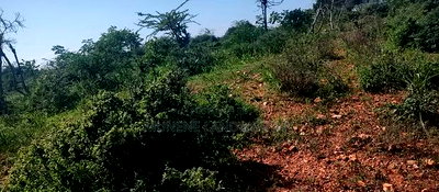 Embu County, Mutuobare 1.5 Acres Near Tarmac at Kes - Image 7