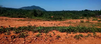 Embu County, Mutuobare 1.5 Acres Near Tarmac at Kes - Image 4