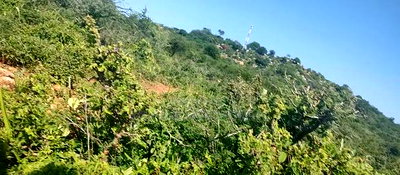 Embu County, Mutuobare 1.5 Acres Near Tarmac at Kes - Image 11