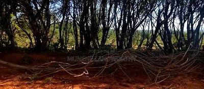 Embu County, Mutuobare 1.5 Acres Near Tarmac at Kes - Image 5