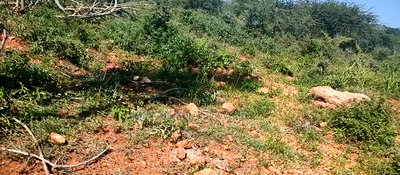 Embu County, Mutuobare 1.5 Acres Near Tarmac at Kes - Image 14