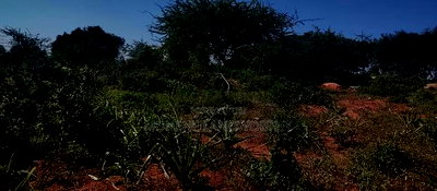 Embu County, Mutuobare 1.5 Acres Near Tarmac at Kes - Image 16