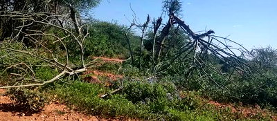 Embu County, Mutuobare 1.5 Acres Near Tarmac at Kes - Image 13