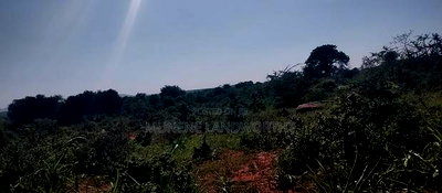 Embu County, Mutuobare 1.5 Acres Near Tarmac at Kes - Image 2