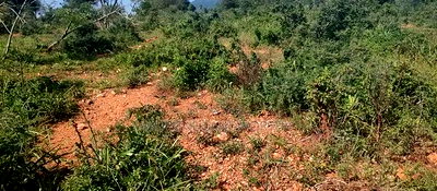 Embu County, Mutuobare 1.5 Acres Near Tarmac at Kes - Image 10