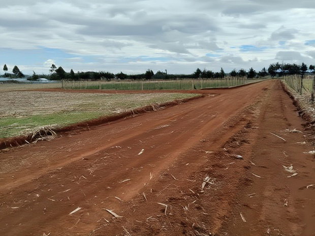 Prime Plots in Chepkanga Eldoret