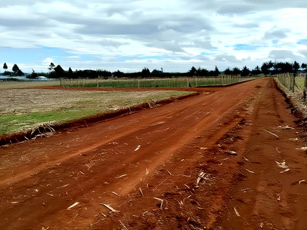 Prime Plots in Chepkanga Eldoret
