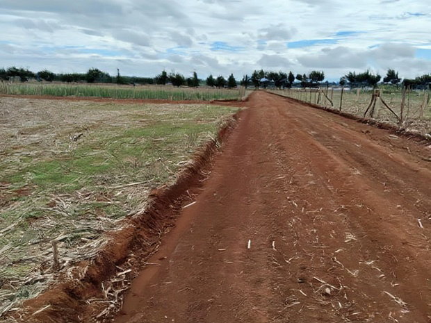 Prime Plots in Chepkanga Eldoret