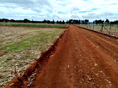 Prime Plots in Chepkanga Eldoret