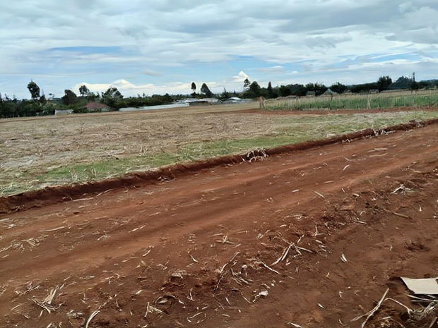 Prime Plots in Chepkanga Eldoret