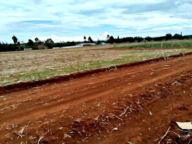 Prime Plots in Chepkanga Eldoret