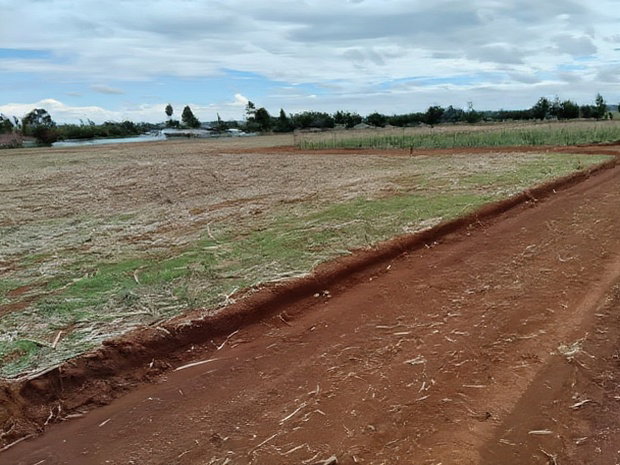 Prime Plots in Chepkanga Eldoret