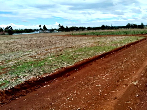 Prime Plots in Chepkanga Eldoret