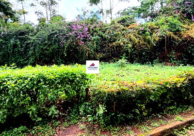 3/4 Acre Garden Plot with Parking - Kitisuru