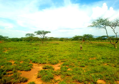 100-Acre Garden Land with Parking