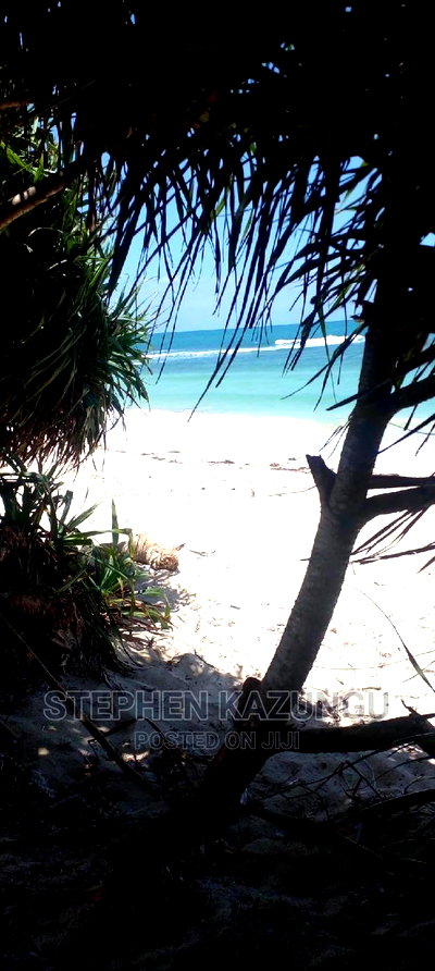 Prime 12 Acres Beach Plots on Sale in Msambweni Beach. - Image 8