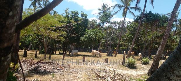 Prime 12 Acres Beach Plots on Sale in Msambweni Beach.