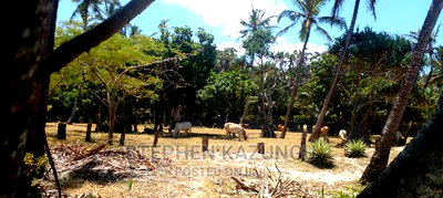 Prime 12 Acres Beach Plots on Sale in Msambweni Beach. - Image 13