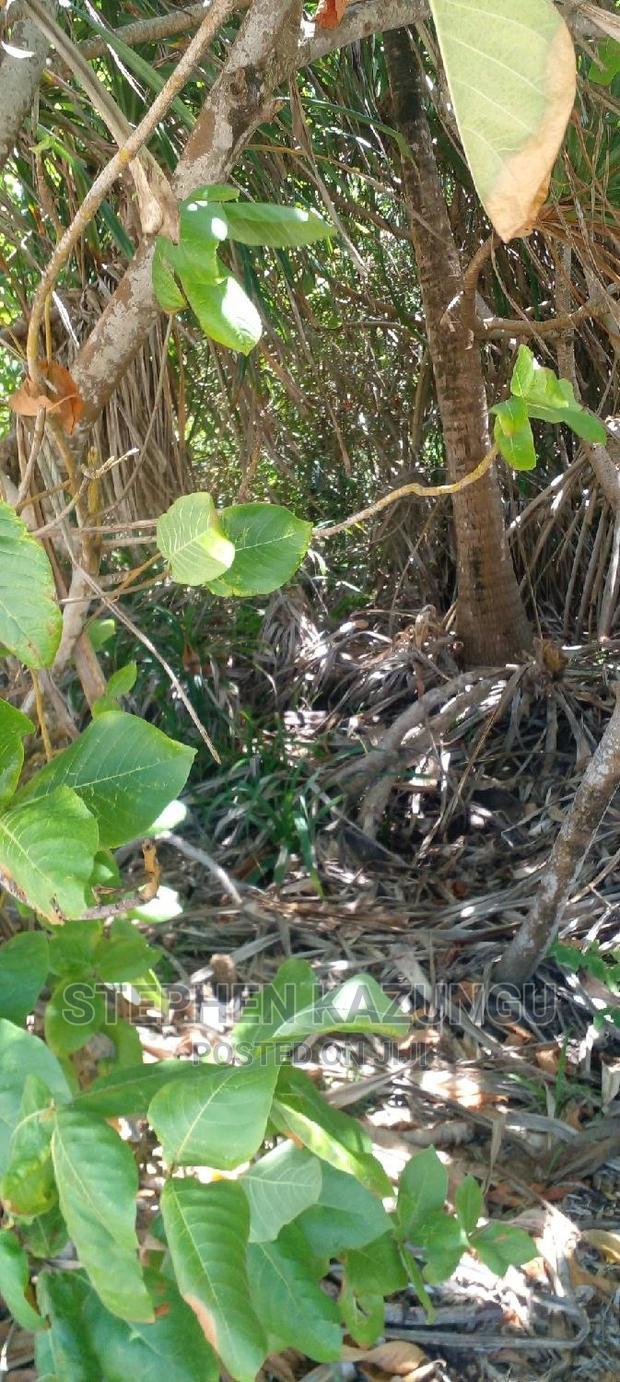Prime 12 Acres Beach Plots on Sale in Msambweni Beach.