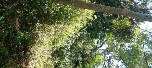 Prime 12 Acres Beach Plots on Sale in Msambweni Beach.
