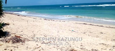 Prime 12 Acres Beach Plots on Sale in Msambweni Beach. - Image 12