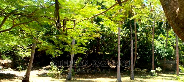 Prime 12 Acres Beach Plots on Sale in Msambweni Beach.