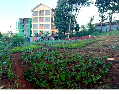 52-Acre Langata Gem for KSh 10M