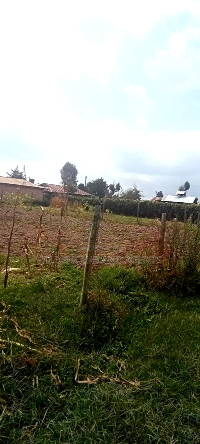 Land on Sale at Kinangop - Image 6