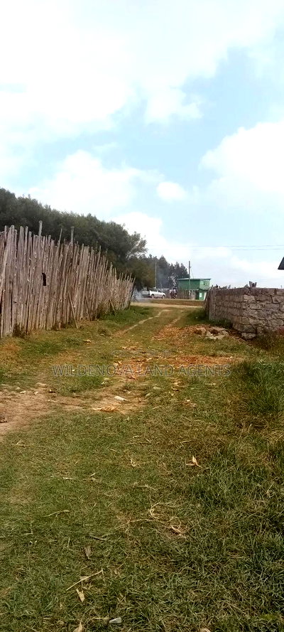 Land on Sale at Kinangop - Image 2