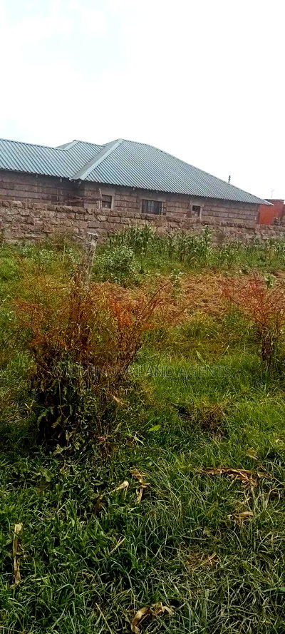 Land on Sale at Kinangop - Image 4