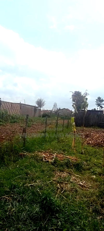 Land on Sale at Kinangop - Image 5