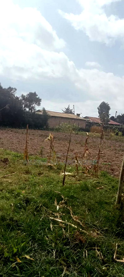 Land on Sale at Kinangop - Image 1