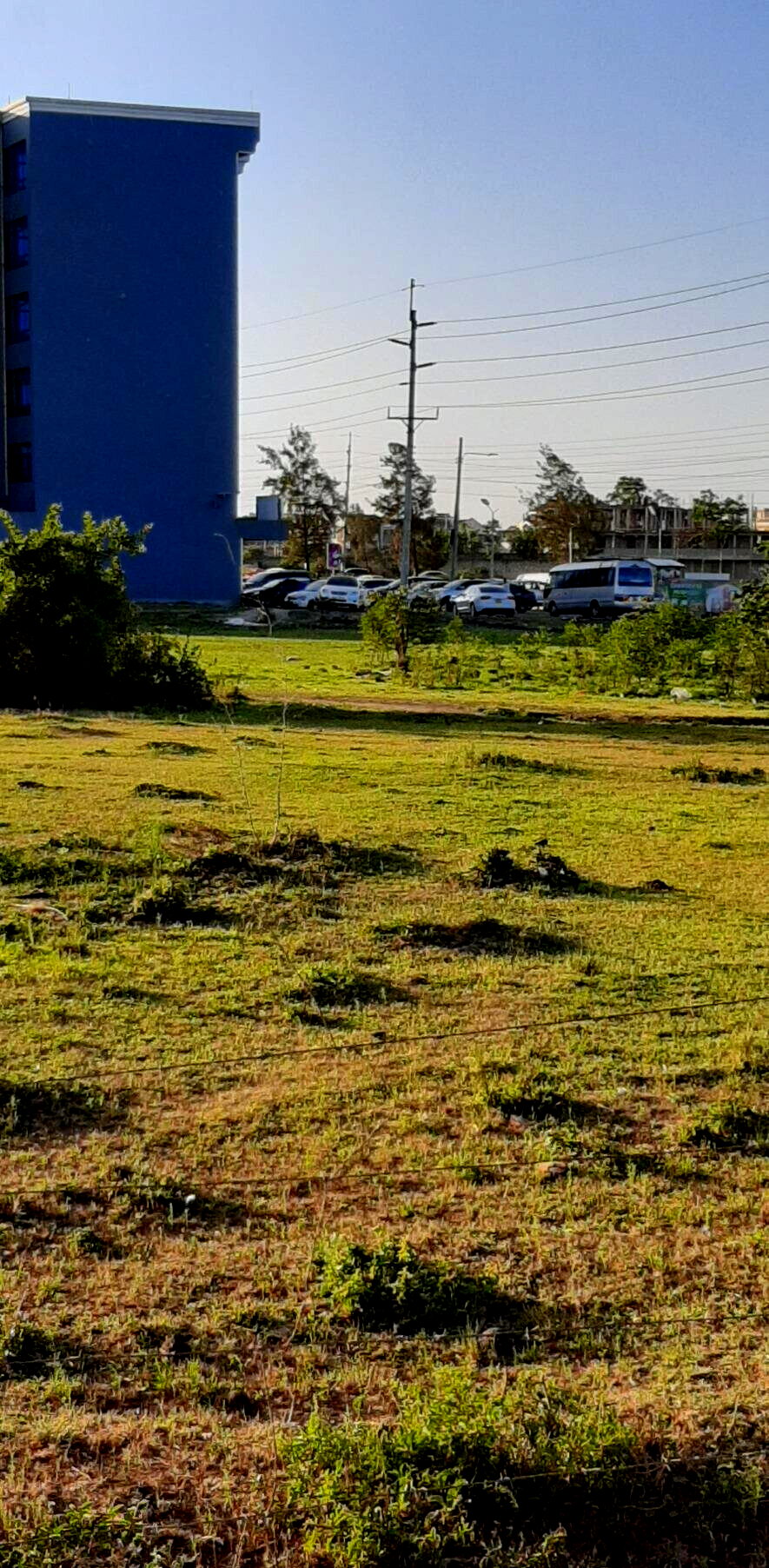 Quarter Acre Plot with Garden - Thika