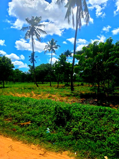 50x100 Plots for Sale - Image 2