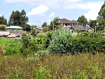 2 Acres Available Land for Sale in Gikambura - Image 2