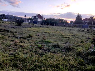 Very Distressed Sale! Prime 100 by 100 Plot in Kibiko, Ngong - Image 3