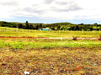 Affordable Plots for Sale in Kikuyu - Image 8