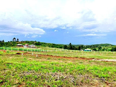 Affordable Plots for Sale in Kikuyu - Image 1