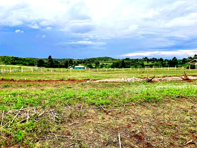 Affordable Plots for Sale in Kikuyu - Image 7