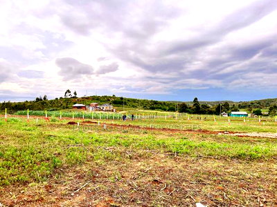 Affordable Plots for Sale in Kikuyu - Image 9