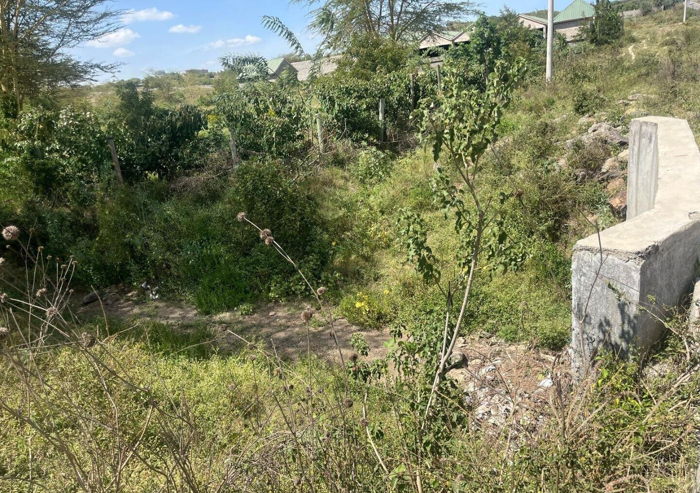 50-Acre Land at KSh 17M per Acre