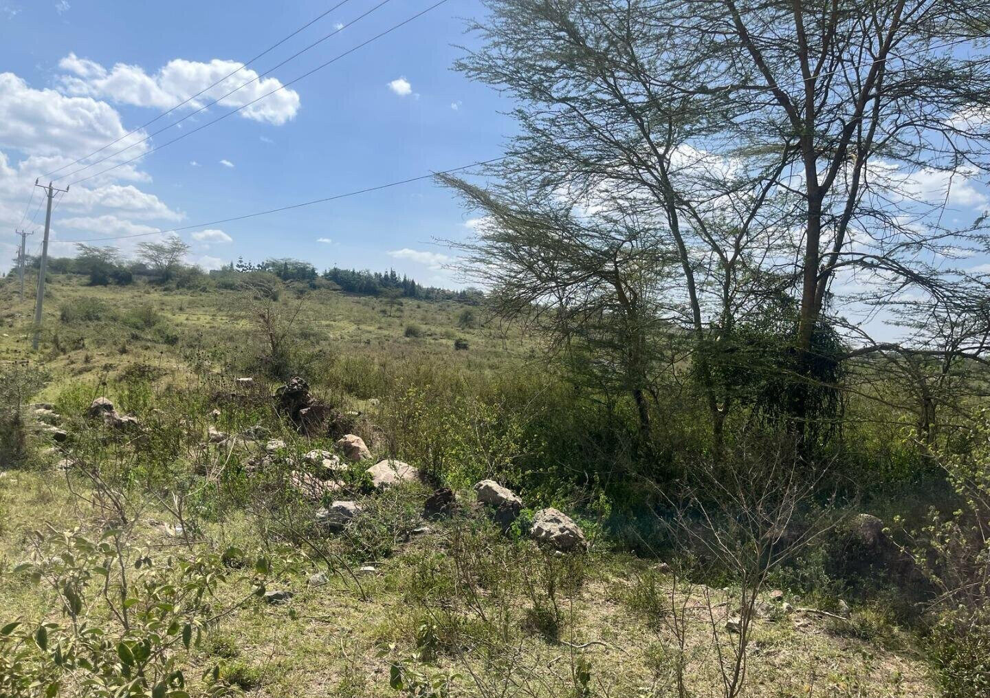 50-Acre Land at KSh 17M per Acre